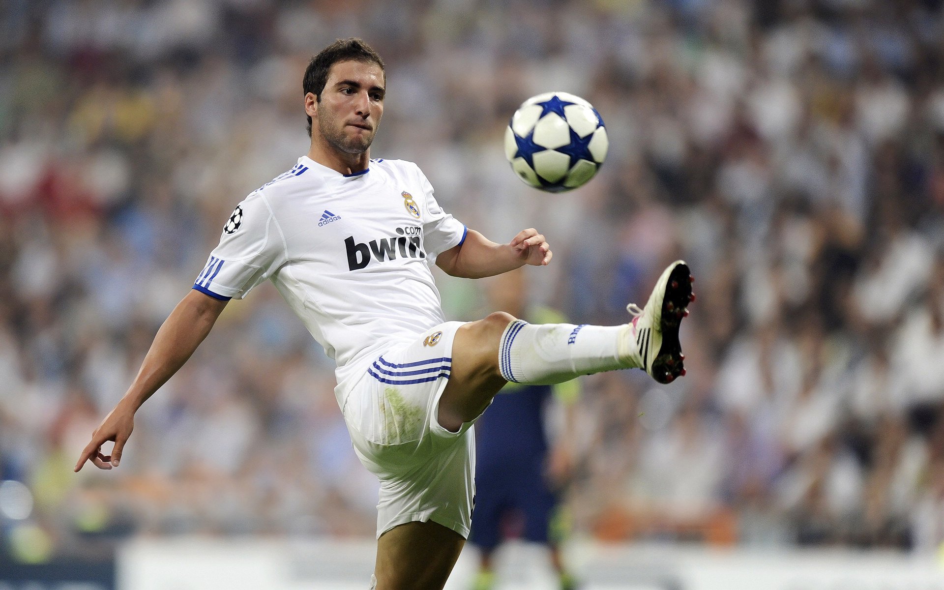 “智慧场馆+绿色基础”成为行业新标杆，行业基础设施逐步完善，什么是智慧绿色机场